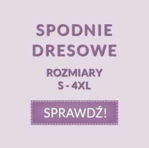 Spodnie dresowe Spodnie dresowe